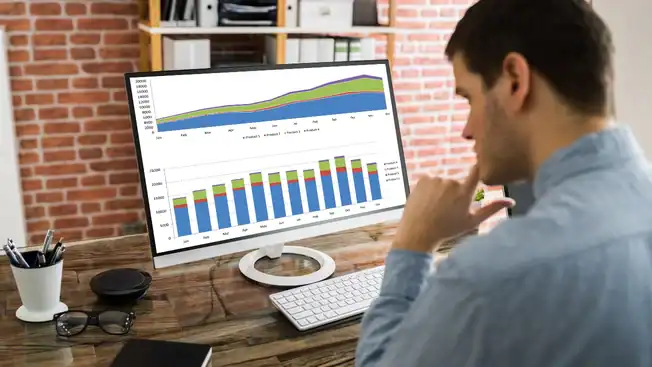 offshore data analyst